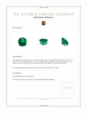 1.03 Ct. Emerald from Zambia Appraisal