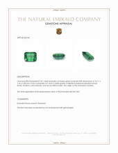 2.81 Ct. Emerald from Zambia Appraisal