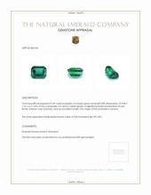 3.49 Ct. Emerald from Zambia Appraisal