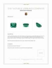 3.55 Ct. Emerald from Zambia Appraisal