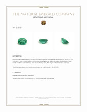 2.75 Ct. Emerald from Zambia Appraisal