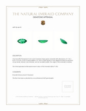 4.64 Ct. Emerald from Zambia Appraisal