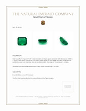 2.49 Ct. Emerald from Zambia Appraisal