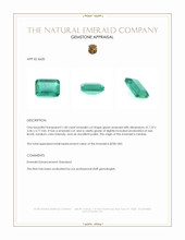 Jewelry Appraisal