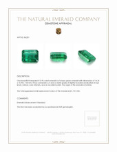 10.96 Ct. Emerald from Zambia Appraisal