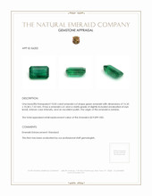 10.05 Ct. Emerald from Zambia Appraisal