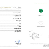 1.29 Ct. Emerald from Zambia Pdf