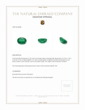 2.78 Ct. Emerald from Zambia Appraisal