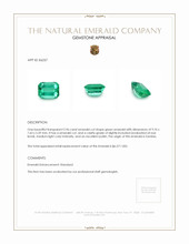 2.96 Ct. Emerald from Zambia Appraisal