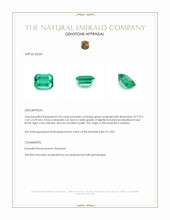 2.96 Ct. Emerald from Zambia Appraisal