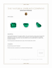 7.52 Ct. Emerald from Colombia Appraisal