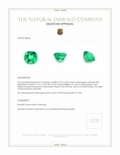 25.13 Ct. Emerald from Colombia Appraisal