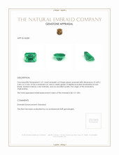 1.01 Ct. Emerald from Afghanistan Appraisal