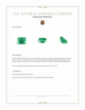 1.01 Ct. Emerald from Afghanistan Appraisal
