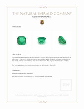 0.58 Ct. Emerald from Zambia Appraisal