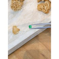 0.58 Ct. Emerald from Zambia Life Style