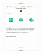 0.82 Ct. Emerald from Zambia Appraisal