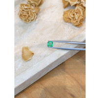 0.82 Ct. Emerald from Zambia Life Style