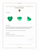 Jewelry Appraisal