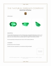0.25 Ct. Emerald from Zambia Appraisal