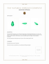 1.24 Ct. Emerald from Colombia Appraisal