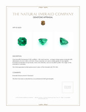 1.08 Ct. Emerald from Colombia Appraisal
