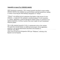 Jewelry Scan Report