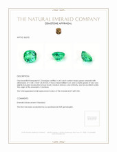 6.45 Ct. Emerald from Colombia Appraisal