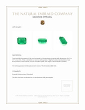0.98 Ct. Emerald from Zambia Appraisal