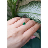 0.96 Ct. Emerald from Zambia Life Style