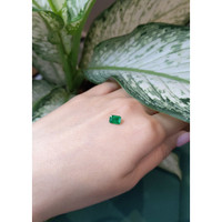 0.96 Ct. Emerald from Zambia Life Style
