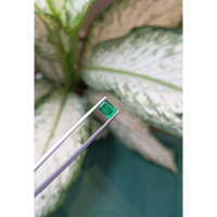 0.96 Ct. Emerald from Zambia Life Style