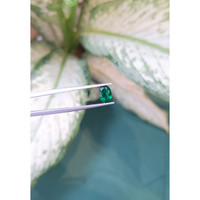 0.94 Ct. Emerald from Zambia Life Style