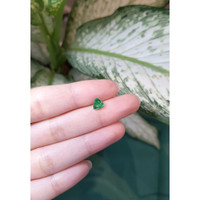 0.76 Ct. Emerald from Zambia Life Style