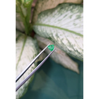 0.76 Ct. Emerald from Zambia Life Style