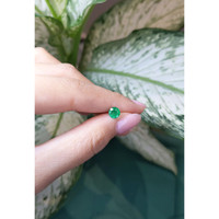 0.68 Ct. Emerald from Zambia Life Style