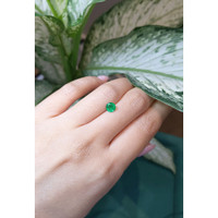 0.68 Ct. Emerald from Zambia Life Style