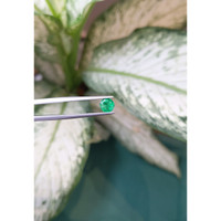 0.68 Ct. Emerald from Zambia Life Style