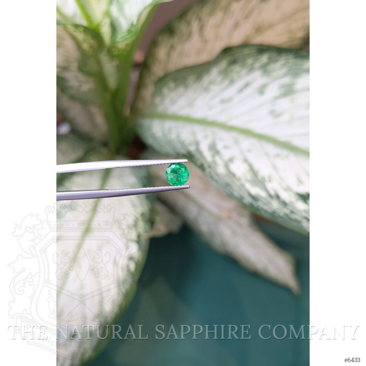 0.68 Ct. Emerald from Zambia