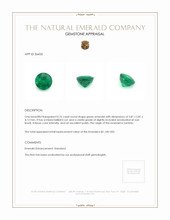 0.76 Ct. Emerald from Zambia Appraisal