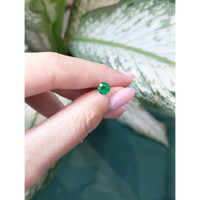 0.99 Ct. Emerald from Zambia Life Style