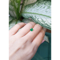 0.99 Ct. Emerald from Zambia Life Style