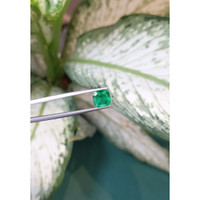 1.87 Ct. Emerald from Zambia Life Style