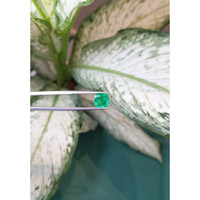 2.41 Ct. Emerald from Zambia Life Style