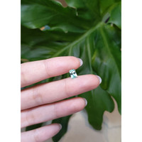 0.90 Ct. Emerald from Afghanistan Life Style