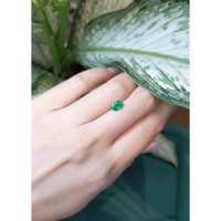 0.68 Ct. Emerald from Zambia Life Style