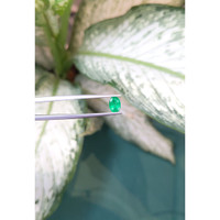 0.68 Ct. Emerald from Zambia Life Style