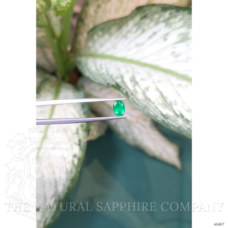 0.68 Ct. Emerald from Zambia