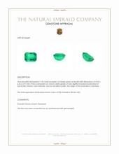 Jewelry Appraisal