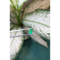1.75 Ct. Emerald from Zambia Life Style
